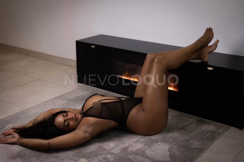 NuevoLoquo4