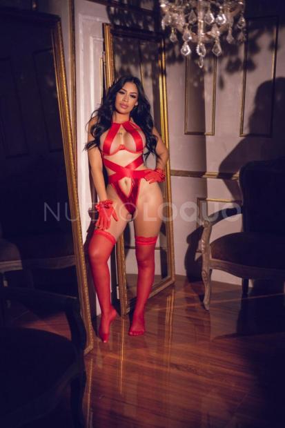 NuevoLoquo1