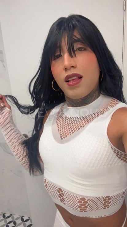 NuevoLoquo3
