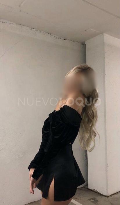 NuevoLoquo1