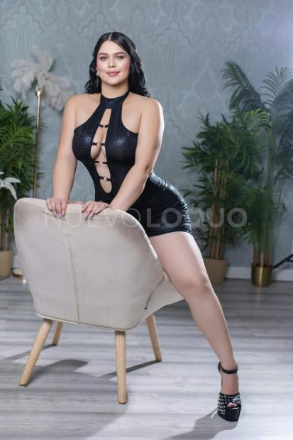 NuevoLoquo1