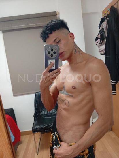 NuevoLoquo3