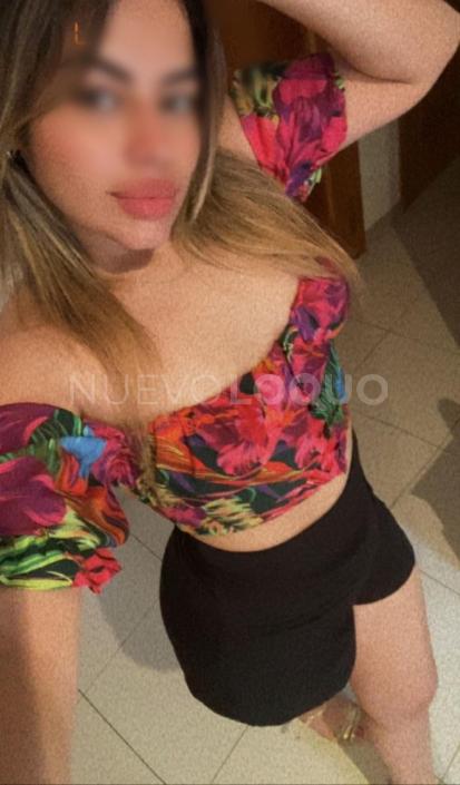 NuevoLoquo0