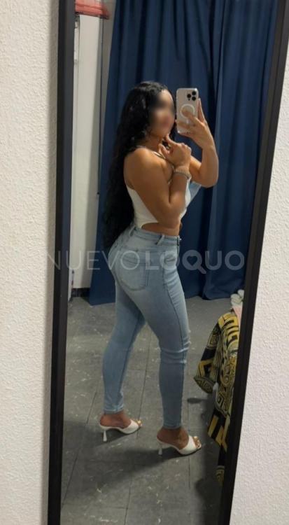 NuevoLoquo3