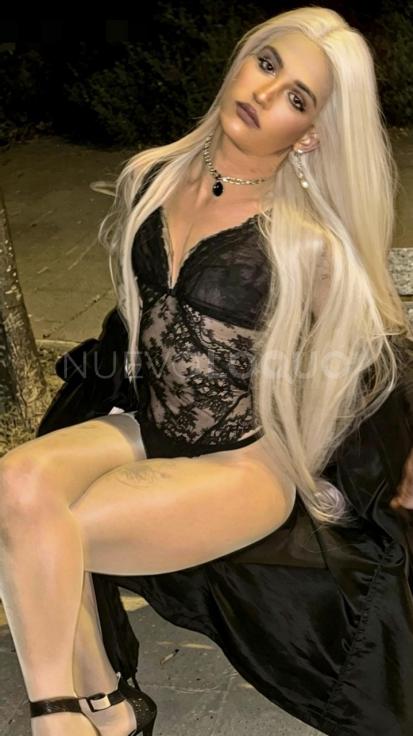 NuevoLoquo3