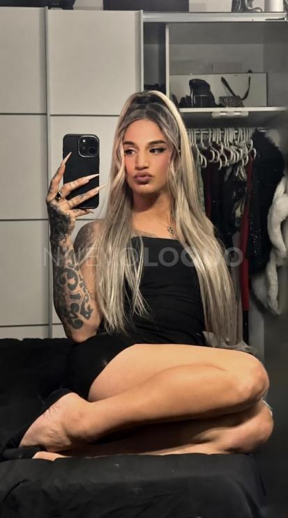 NuevoLoquo4