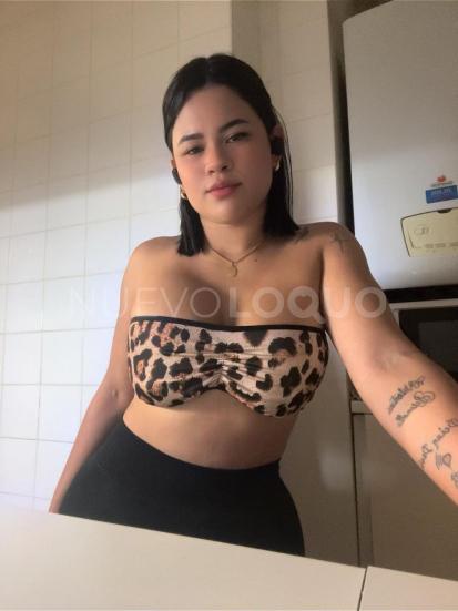 NuevoLoquo3