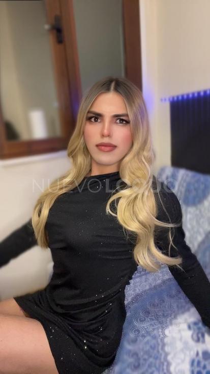 NuevoLoquo2