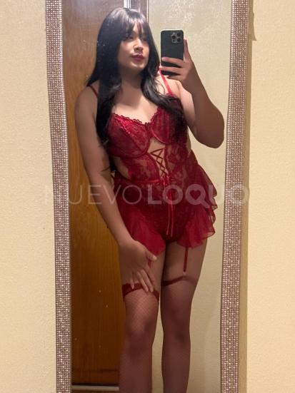 NuevoLoquo2