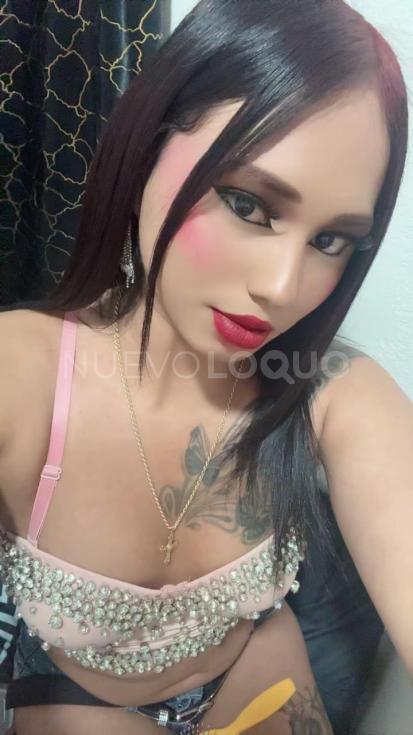 NuevoLoquo1