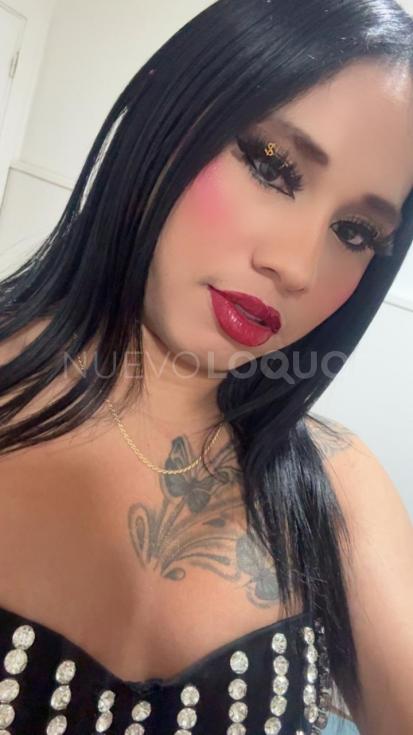 NuevoLoquo3