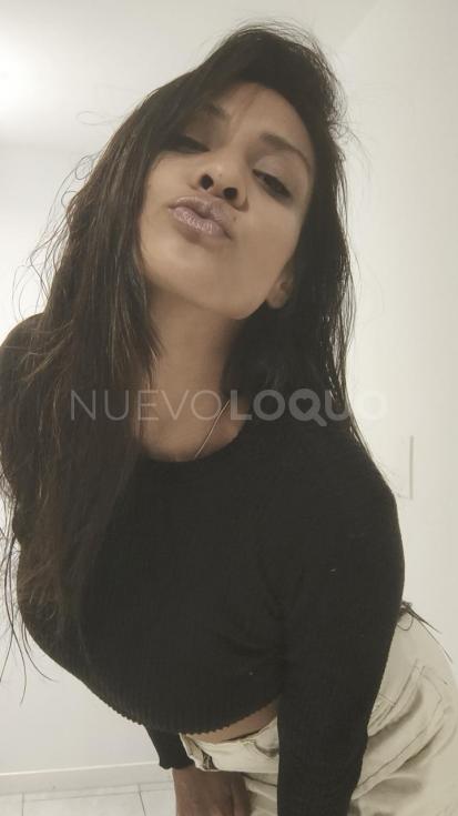 NuevoLoquo4