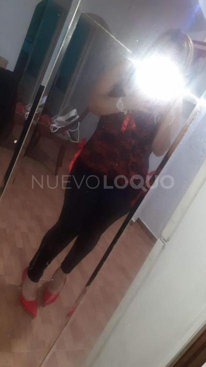 NuevoLoquo3
