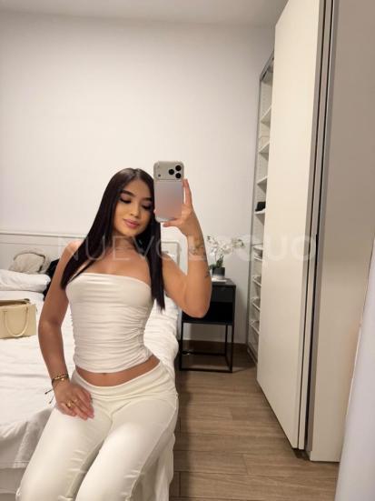NuevoLoquo3