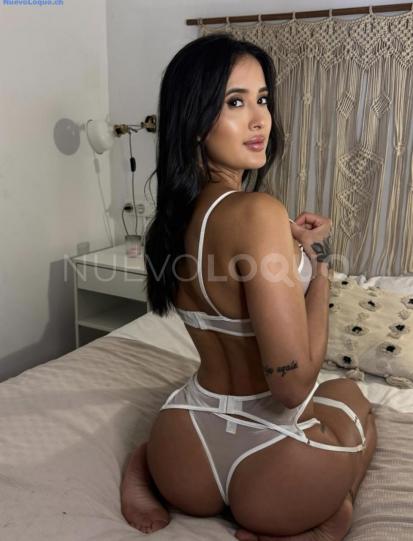 NuevoLoquo3