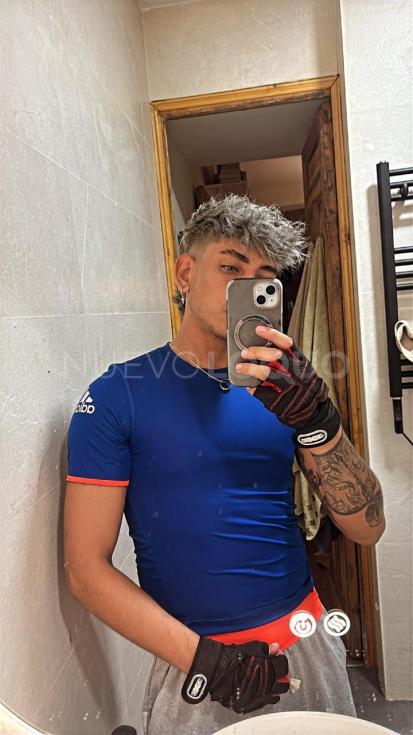 NuevoLoquo3
