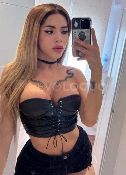 NuevoLoquo1