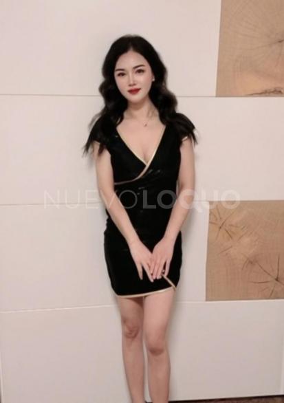 NuevoLoquo3