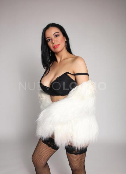 NuevoLoquo1