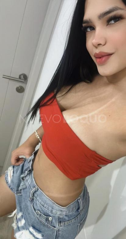 NuevoLoquo3