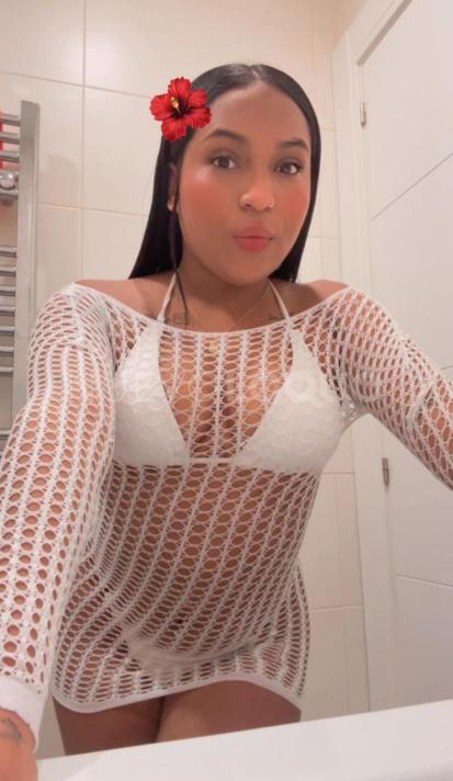 NuevoLoquo2