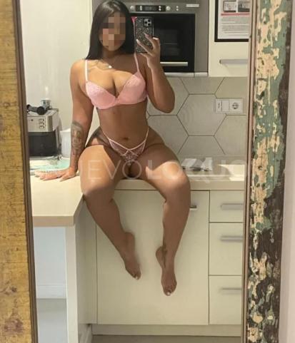 NuevoLoquo3