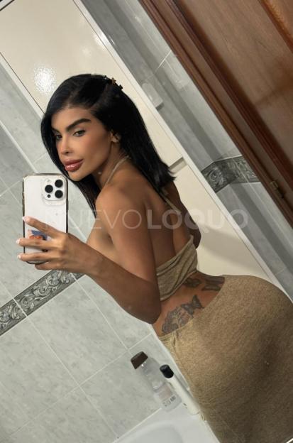NuevoLoquo3