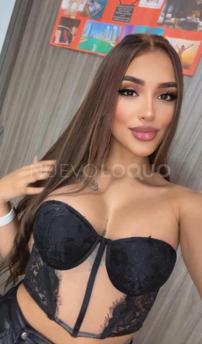 NuevoLoquo3