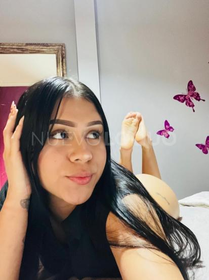 NuevoLoquo2