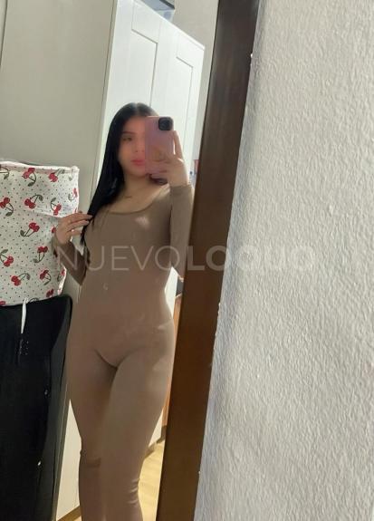 NuevoLoquo3