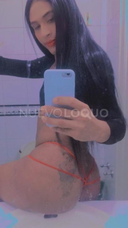 NuevoLoquo3
