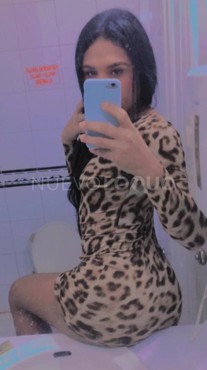 NuevoLoquo4