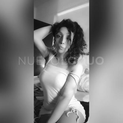 NuevoLoquo2