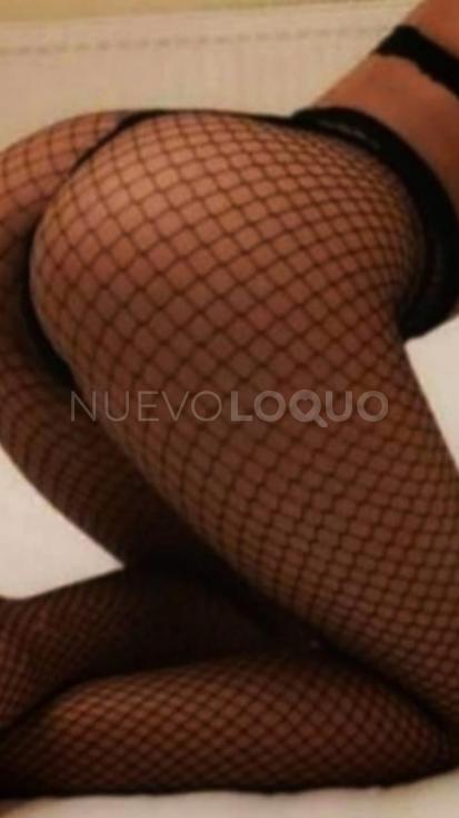 NuevoLoquo1