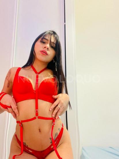 NuevoLoquo4