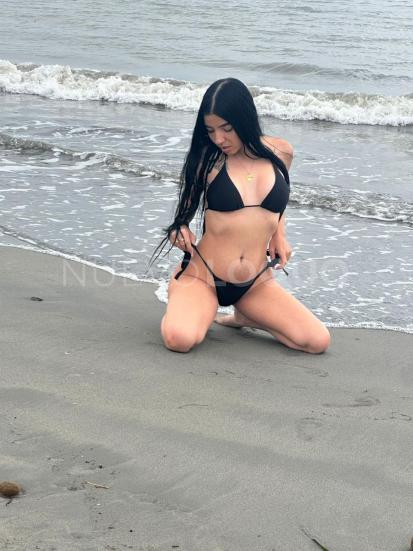 NuevoLoquo2