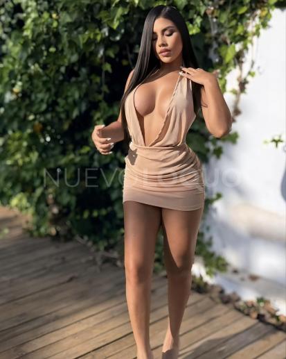 NuevoLoquo3