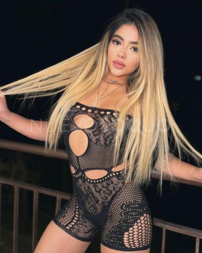 NuevoLoquo3