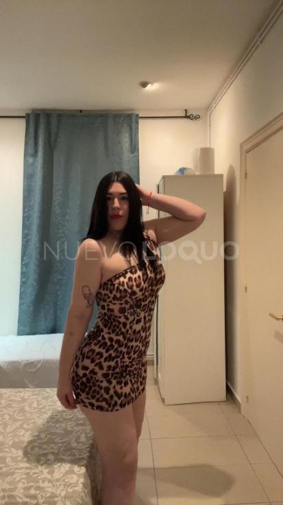NuevoLoquo4