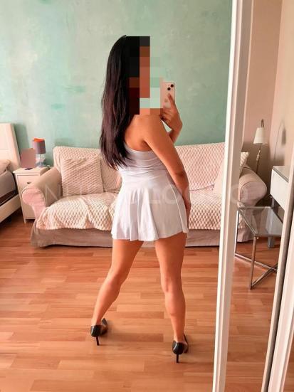 NuevoLoquo2