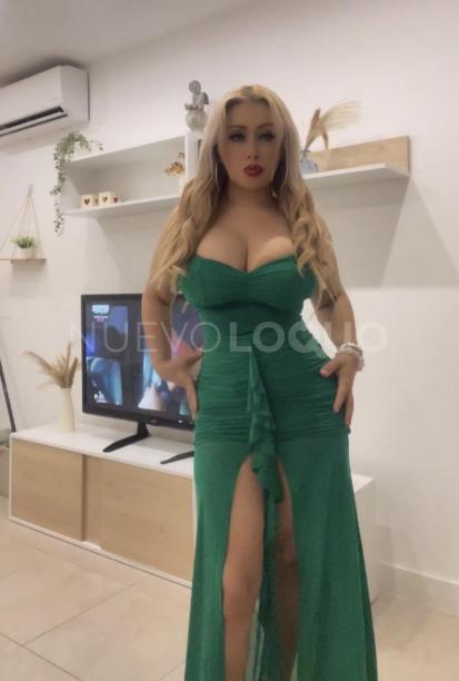 NuevoLoquo5