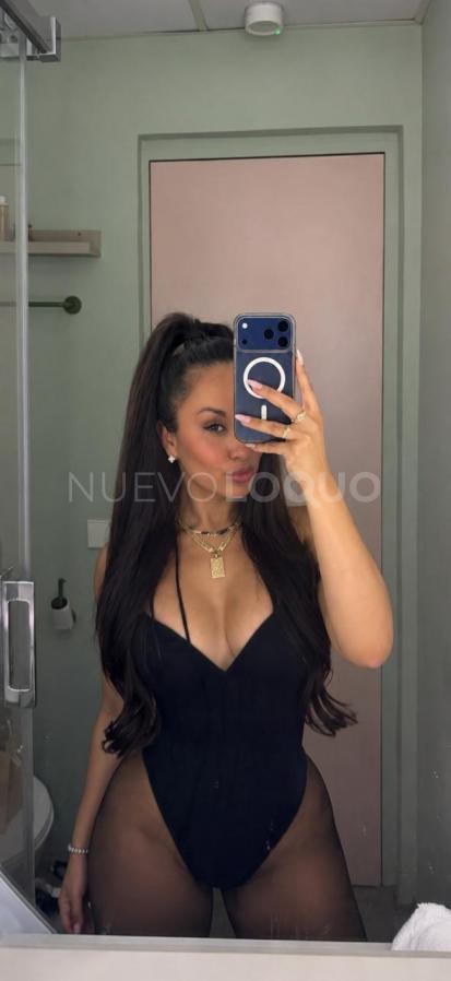 NuevoLoquo3