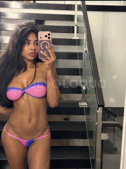 NuevoLoquo2