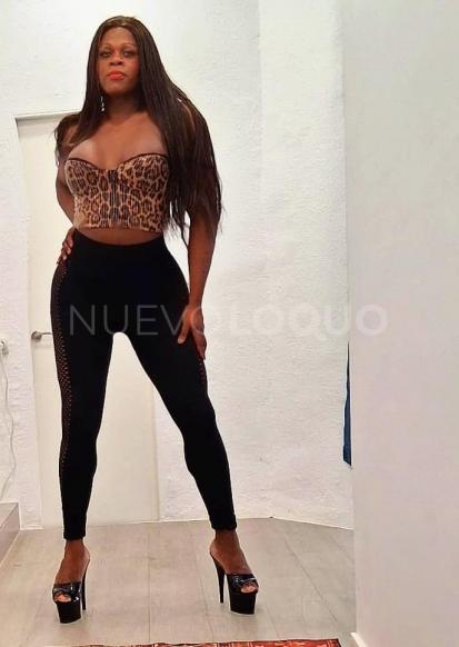 NuevoLoquo0