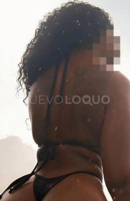 NuevoLoquo3