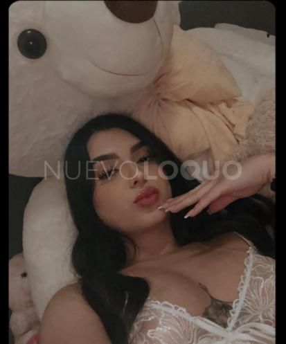 NuevoLoquo5