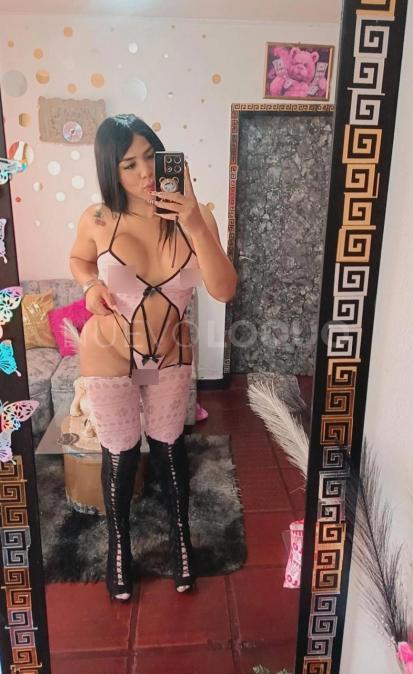 NuevoLoquo2