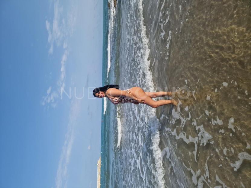 NuevoLoquo2