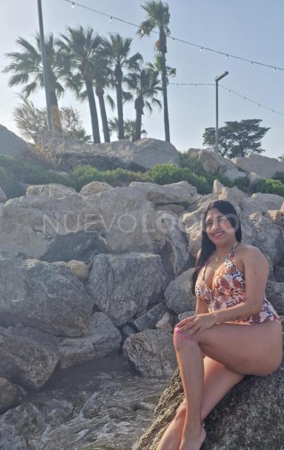 NuevoLoquo4