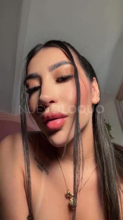 NuevoLoquo2